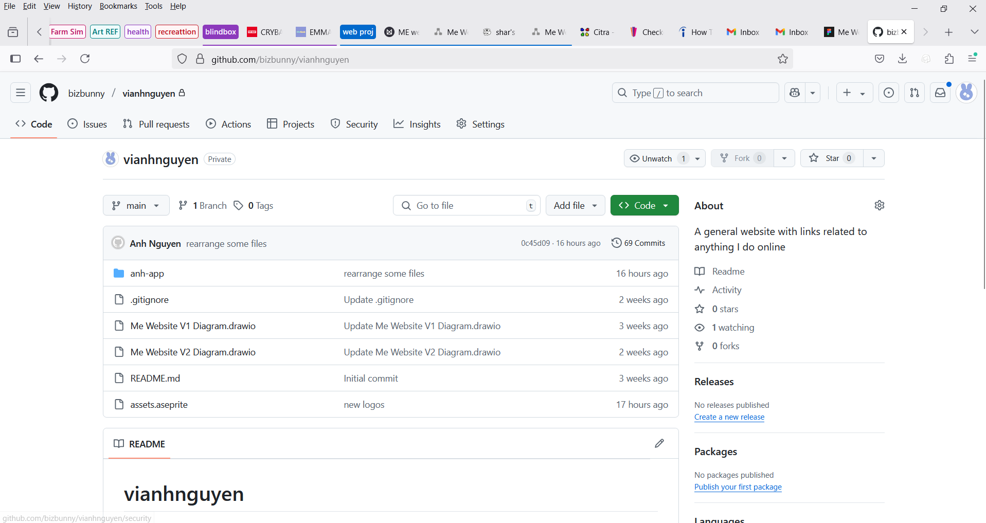 github snapshot